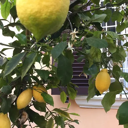 Gianicolo Penny's Garden A Centro Roma